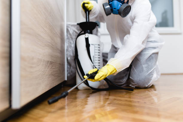 Best Emergency Pest Control  in Portland, IN
