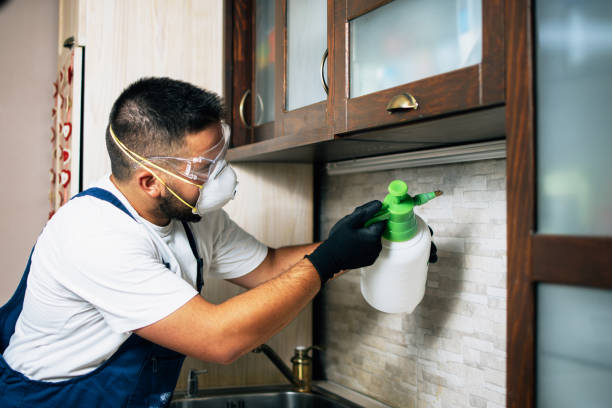 Best Pest Prevention Services  in Portland, IN