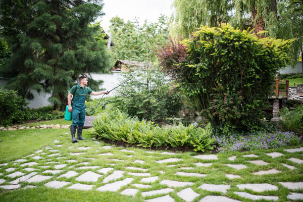 Best Local Pest Control Services  in Portland, IN