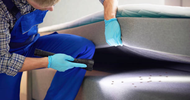 Pest Prevention Services in Portland, IN