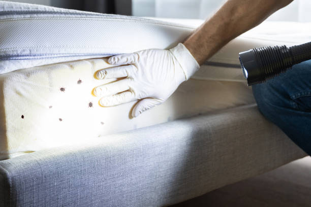 Trusted Portland, IN Pest Control Experts