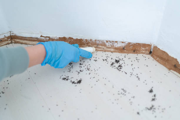 Best Pest Control Treatment  in Portland, IN